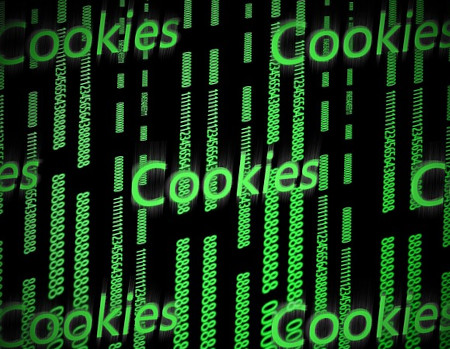 Approvate le nuove linee guida sui cookie